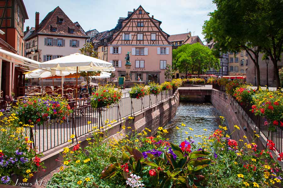 colmar and flowers