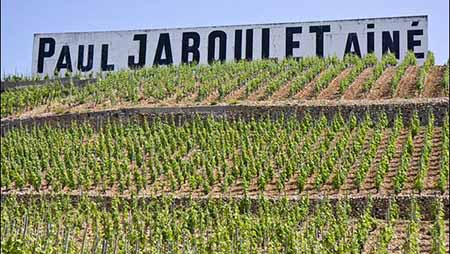 hermitage vineyard jaboulet